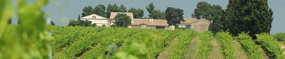 Foto: Manuel Périn Domaine de Calet ligger i södra Rhône, vid porten till Camargue. Här finns förutsättningar för enastående viner: läge, klimat och jordmån.